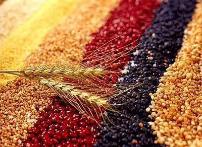 【健康养生】掉头发最该补的东西竟然是它？99%的人都不知道！