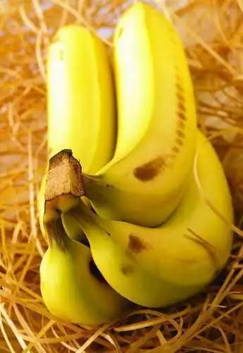 【健康养生】掉头发最该补的东西竟然是它？99%的人都不知道！