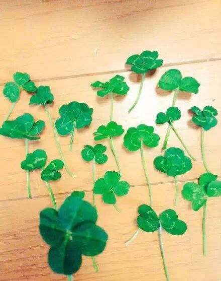 所以,四叶草也代表着幸运和幸福.今天我也将这份幸运传递给你.