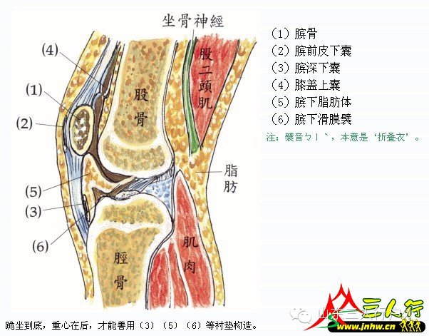 三人行户外大课堂 膝盖的重要性 发病特点与保护