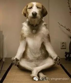 ［转］ <wbr>3分钟教你静坐冥想快速恢复精神