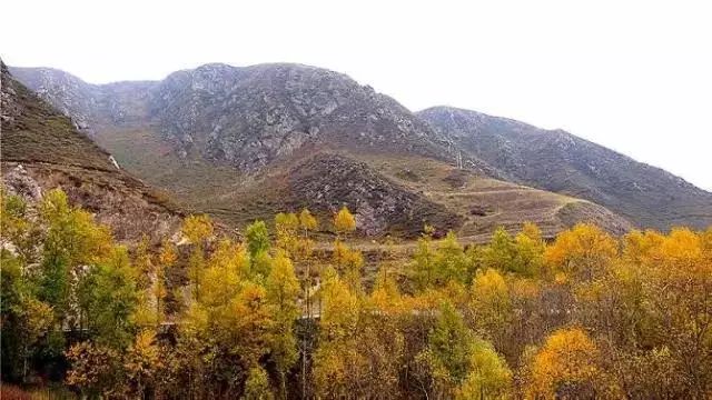 号文章 正文 山脉自西北至东南走向,包括大雪山,托来山,托来南山