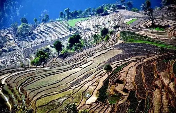 尼泊爾最美時刻：當錯過成為永恒！ 旅行 第39張