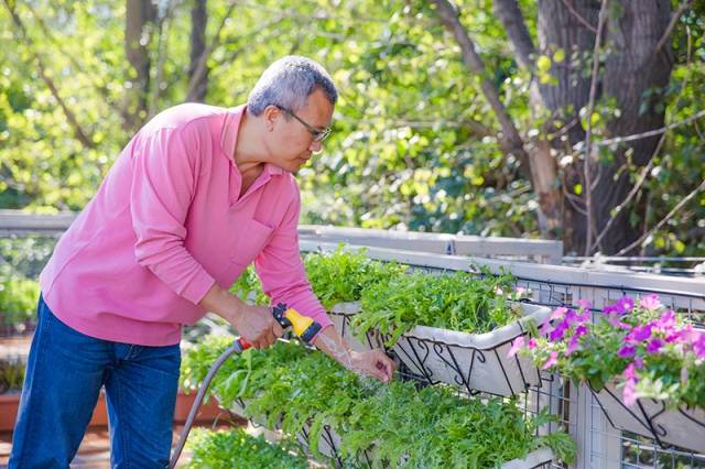 在京郊用6座集装箱打造出 “可持续实验室 ”，享受都市田园生活。