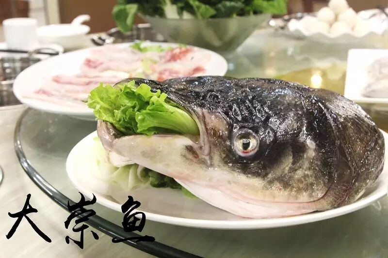 【系斗门鲟龙鱼都有得吃!壹捞火锅店真系"得食喔"!】