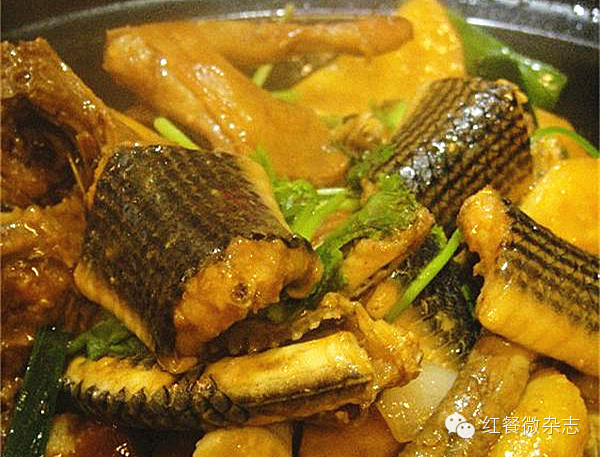 秋冬蛇肴盛宴15款蛇肴做法详解经典