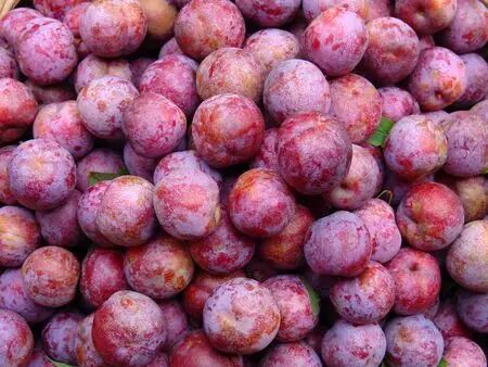 不知道贺州这些"乡"的,都不好意思说是贺州人.