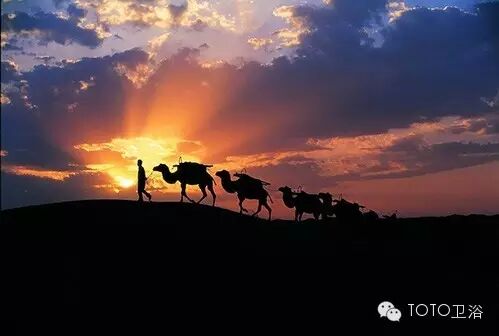 十画十说| 捧一指流沙岁月,行二次生命旅程