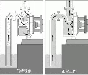 图文讲解离心泵的气缚和气蚀的图3