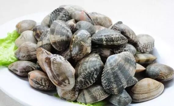 花甲,又名蛤蜊,软体动物,长约3厘米,壳卵圆形,淡褐色,边缘紫色.