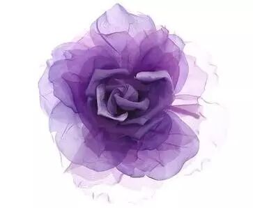 12星座的外表和内心是怎么样