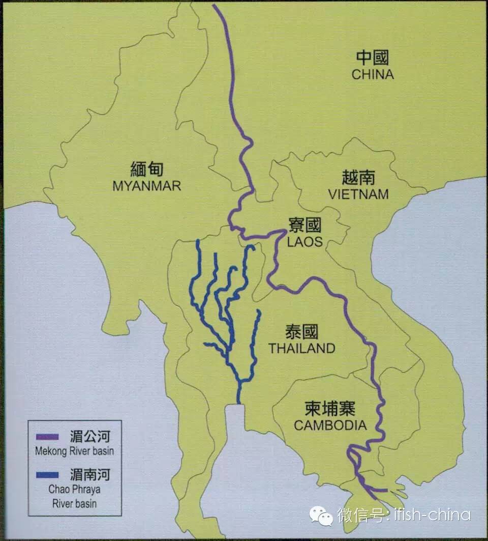泰国的湄南河为siamese tiger(所谓st尾日行虎,暹罗虎)的产地;湄公河