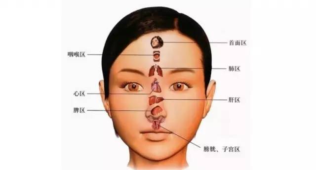 因為人中位於鼻與唇的正中部位,為先天精氣命門原氣之所候,臨床觀察