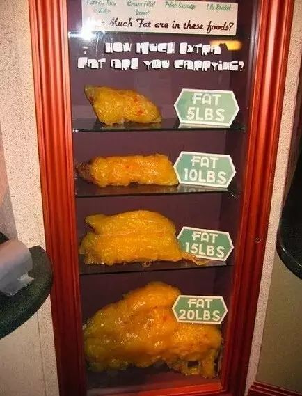 BBC解剖了一个214斤的女子，看完你会用生命去减肥！