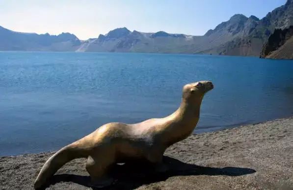 世间未知生物_世间未知生物_世间未知生物