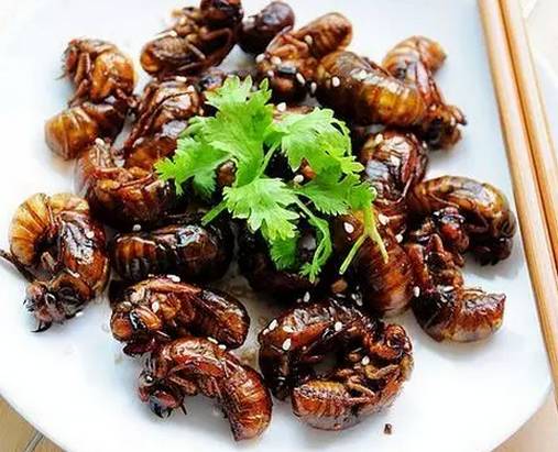 不管你身在何处请记得家里该摸结了龟了