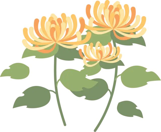 电热针灸怎么做针与灸的完美结合 ｜ “电热针”技术_https://www.jmylbn.com_新闻资讯_第3张