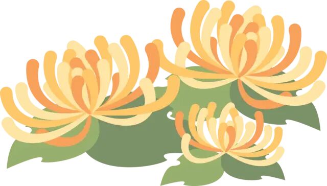 电热针灸怎么做针与灸的完美结合 ｜ “电热针”技术_https://www.jmylbn.com_新闻资讯_第5张