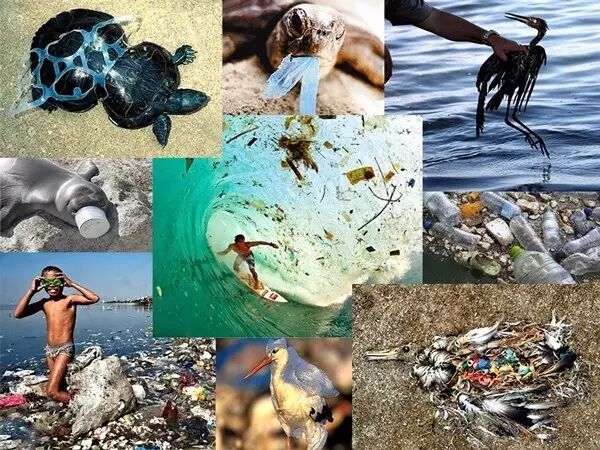 水上垃圾桶設計！海上的清潔器！的圖2