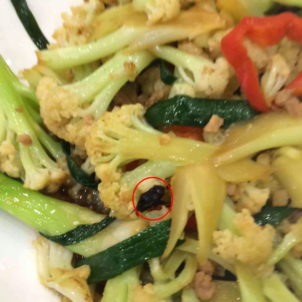 内容如下:   油炸绿豆苍蝇