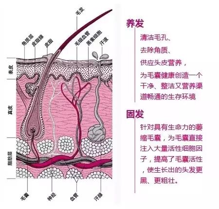 头皮护理是“多此一举”吗？