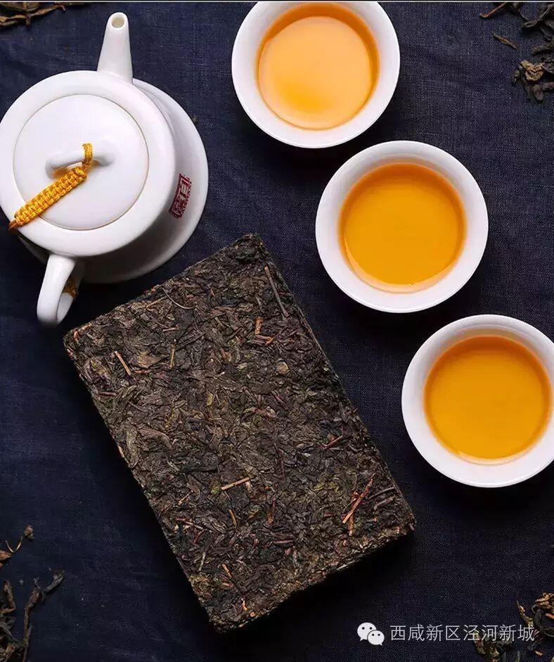 科普|茯茶文化知多少?