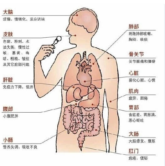 如何清除体内的13大毒素
