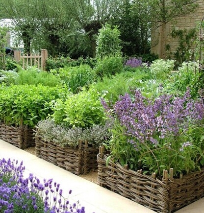 一米园地私人定制迷你小菜园