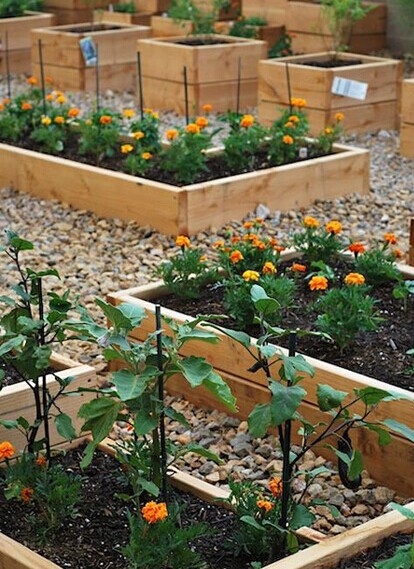 一米园地私人定制迷你小菜园