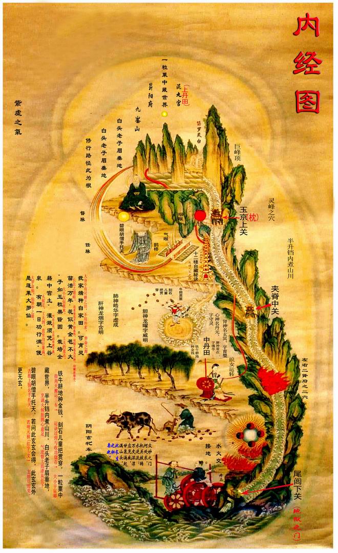 揭秘千古内丹之谜