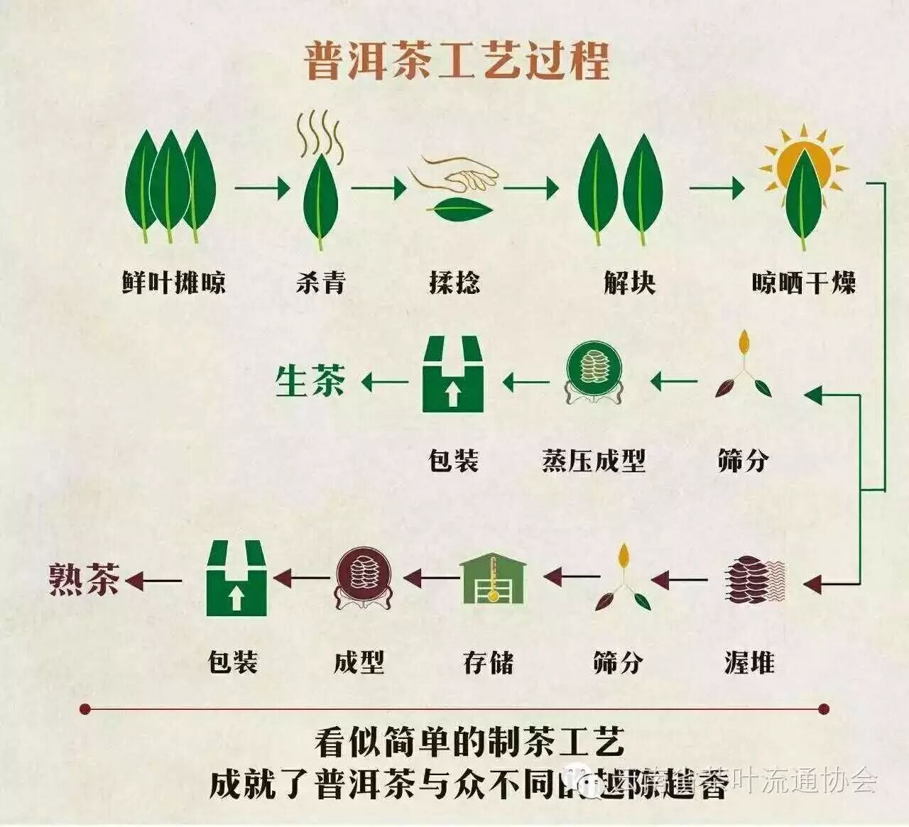 刘所长:在普洱茶加工工艺中有的用萎凋,包揉,烘青等工艺,您有什么样的
