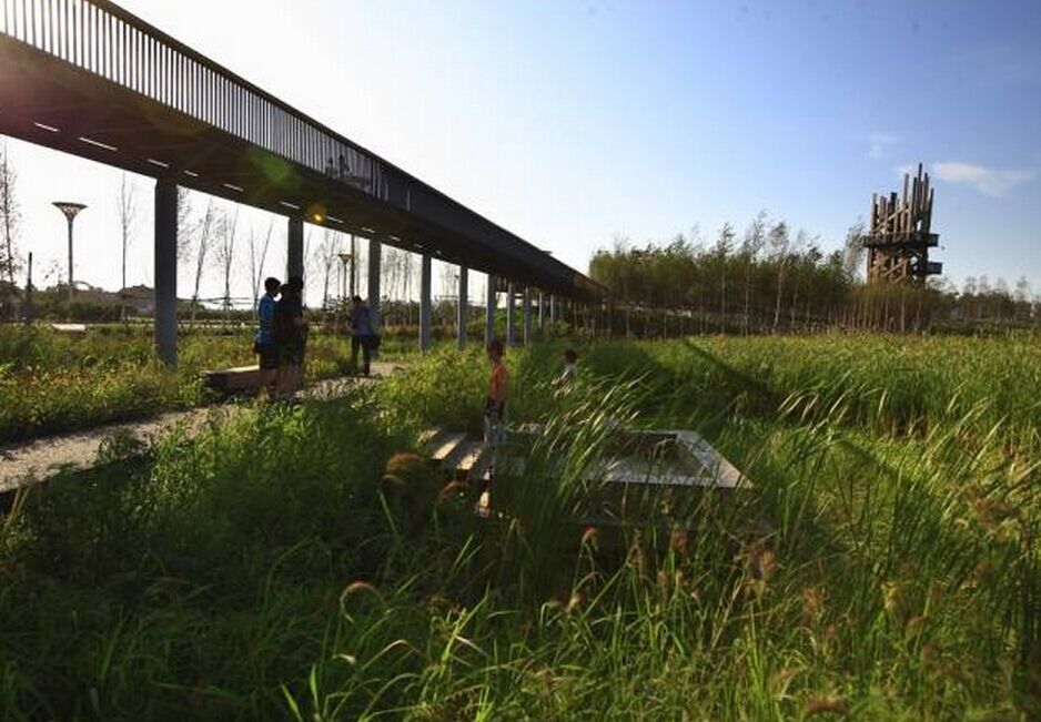 国外雨水花园研究及实例附那些年获过奖的雨水花园