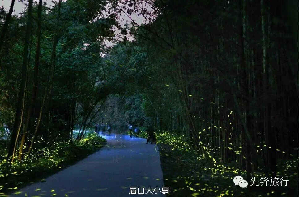 四川青神惊现大片萤火虫,梦幻哭了!