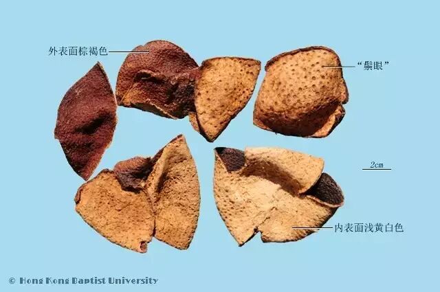 每天最少学一味中药 陈皮