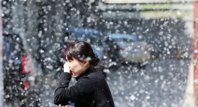 遇到花粉就不停打喷嚏？小心是过敏性鼻炎作怪