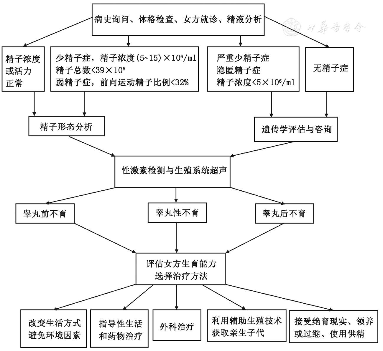 全身状况,第二性征则可以在一定程度上反映下丘脑–垂体–性腺轴的