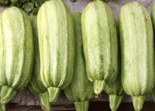 资料网 公众号文章 >> 正文 主要食疗功效:润肺止咳,清心安神,治肺痨