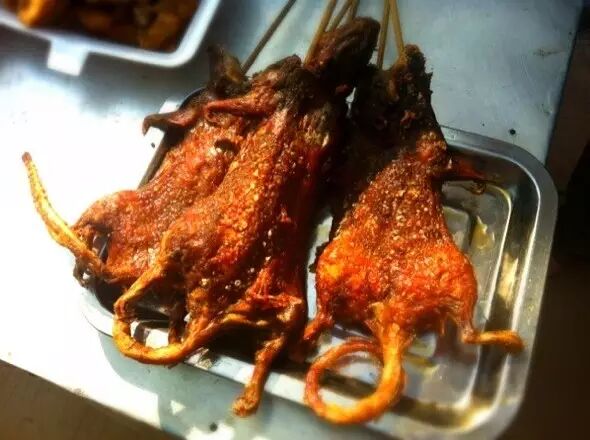 网上很多老鼠肉冒充羊肉烤来卖的新闻,其实烤老鼠肉本身也挺有名的!