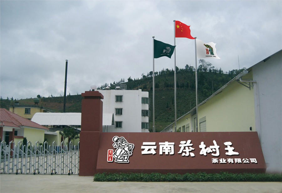 云南茶树王茶业有限公司勐海茶厂