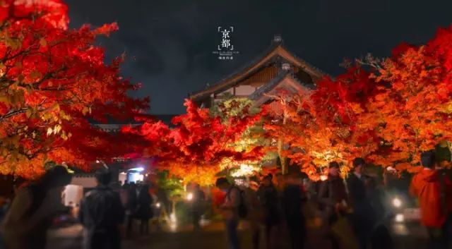 日本紅葉季最新預測來了！東京、大阪、京都最佳觀賞期已出~ 旅遊 第27張