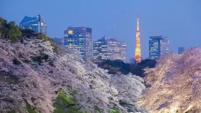 价低人少风景好的二、三月，最适合去哪里旅行？                                                                                               日本