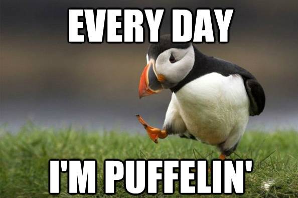 一个恐鸟症患者的旅行自白