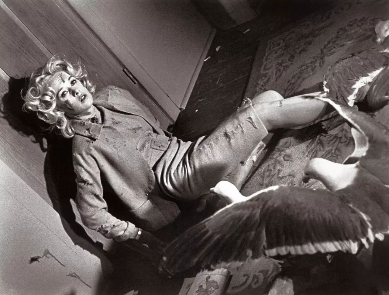 一个恐鸟症患者的旅行自白