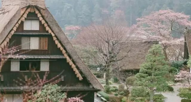 去日本看樱花，提前多久准备才最便宜省心？                                                                                               日本