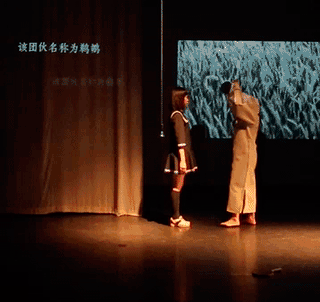 P4 Theater - Shadow-to-Shape - GIF edition