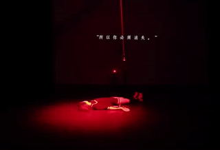 P4 Theater - Shadow-to-Shape - GIF edition