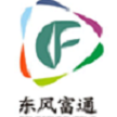 陕西东风富通网络科技有限公司
