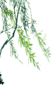 3ae2fb0102c6c9a51c2678288dd8005c (1) (1).png