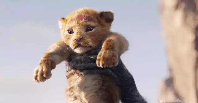 真人版《狮子王》首爆预告片！逆天特效神还原，小辛巴萌到哭，明年7月上映！