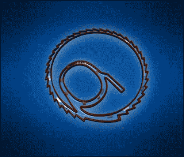 五大上海的光学科创中心首推上海光源装置演示